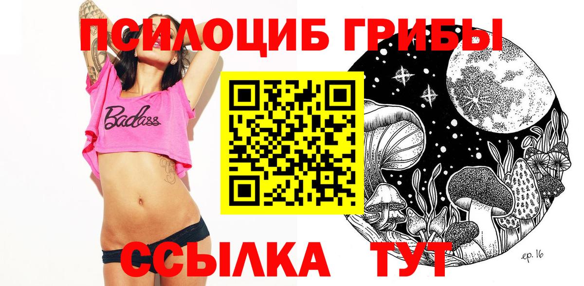 Псилоцибиновые грибы мицелий Черкесск