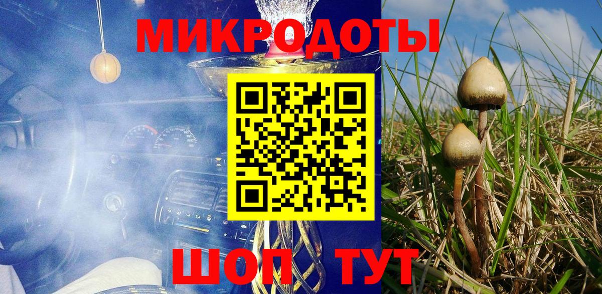 Черкесск  Псилоцибиновые грибы ЛСД  Вход с VPN 